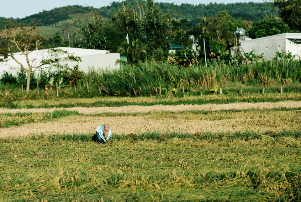 Kho gạo của Nguyễn Đình Sơn Nđs